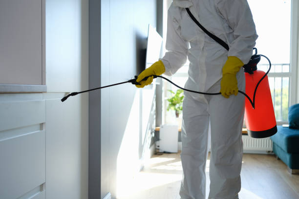Best Commercial Mold Removal  in Indian Hills, NM